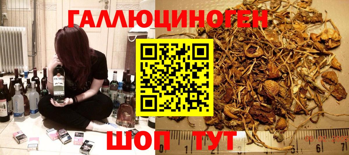 Галлюциногенные грибы Cubensis Дзержинский